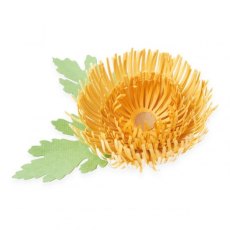 Sizzix Thinlits Die Set 5PK - Chrysanthemum