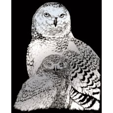 Royal & Langnickel Engraving Scratch Art Silver Foil Snowy Owls SILF43-3T