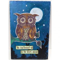 That's Crafty! Clear Stamp Set - Melina's Doodled Cat, Owl & Moon TC001