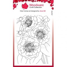 Woodware Clear Singles Zinnia 4 in x 6 in Stamp JGS750