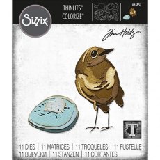 Sizzix Thinlits Die Set 11PK - Bird & Egg, Colorize by Tim Holtz 665857