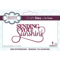 Creative Expressions Sue Wilson Mini Expressions Sending You Sunshine Craft Die