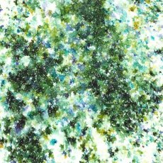 Cosmic Shimmer Pixie Burst Wild Moss 25ml 4 For £12.99