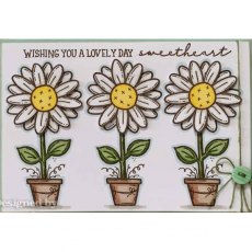 Creative Expressions Sam Poole Daisy Bloom 6 in x 4 in Clear Stamp Set