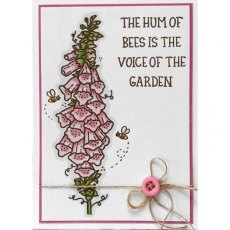 Creative Expressions Sam Poole Foxglove and Bees 6 in x 4 in Clear Stamp Set