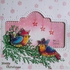 Woodware Clear Singles Robin Party 4 in x 6 in Stamp