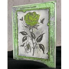 Woodware Clear Stamps - Spider & Rose 4 in x 6 in Stamp