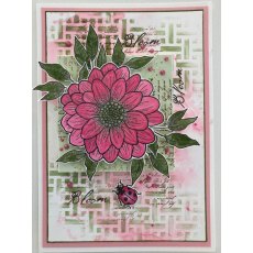 Woodware Clear Singles Ditsy Daisy 4 in x 6 in Stamp