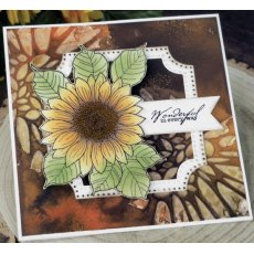 Woodware Clear Singles Sunflower Rays 4 in x 6 in Stamp