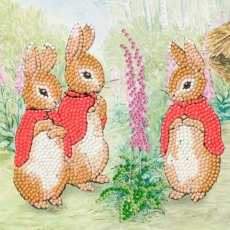 Craft Buddy Peter Rabbit "The Flopsy Bunnies" 18x18cm Crystal Art Card CCK-PRBT03