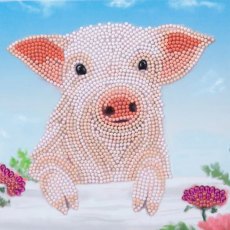 Craft Buddy "Pig on the Fence" 18x18cm Crystal Art Card CCK-A100