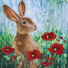 Craft Buddy "Wild Poppies and the Hare" 18x18cm Crystal Art Card CCK-A101