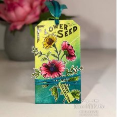 Creative Expressions Sam Poole Flower Seed 6 in x 4 in Clear Stamp Set
