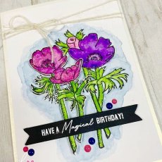 Julie Hickey Designs Birthday Sentiments A7 Stamp Set JHE1036