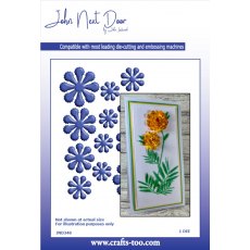John Next Door - Marigold Flowers JND348