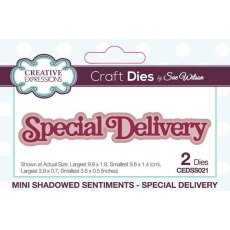 Creative Expressions Sue Wilson Mini Shadowed Sentiments Special Delivery Craft Die