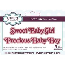 Creative Expressions Sue Wilson Mini Shadowed Sentiments Sweet Baby Boy & Girl Craft Die