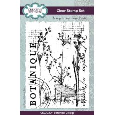 Creative Expressions Sam Poole Botanical Collage 6 in x 4 in Clear Stamp Set