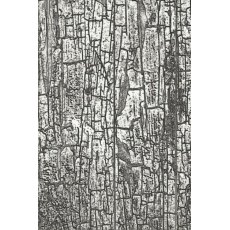 Sizzix 3-D Texture Fades Embossing Folder - Cracked by Tim Holtz 666295