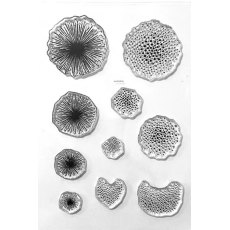Elizabeth Craft Designs - Flower Centers Clear Stamp CS330
