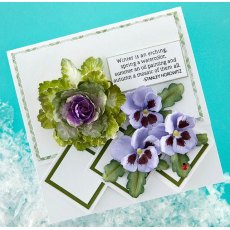 Spellbinders Ornamental Cabbage & Kale Clear Stamp & Die Set SDS-187