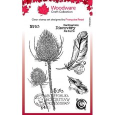 Woodware Clear Singles Discovery 4 in x 6 in Stamp