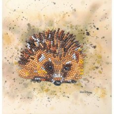Sparkle Art Bree Merryn Harley Hedgehog Diamond Art Card Kit BMSA07