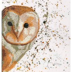 Sparkle Art Bree Merryn Olive Owl Diamond Art Card Kit BMSA09