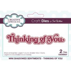Creative Expressions Sue Wilson Mini Shadowed Sentiments Thinking Of You Craft Die