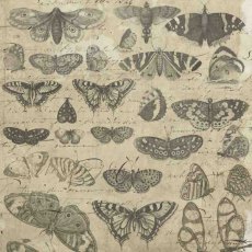 Creative Expressions Sam Poole Nature’s Compendium 8 in x 8 in Paper Pad