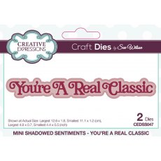 Creative Expressions Sue Wilson Mini Shadowed Sentiments You’re A Real Classic Craft Die
