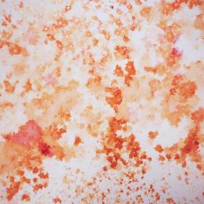 Cosmic Shimmer Pixie Powder - Burnt Orange - 4 for £12.99