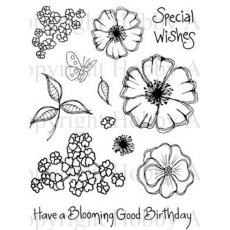 Hobby Art Ltd - Anna's Collection - Special Wishes Stamp