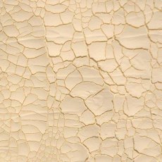 Cosmic Shimmer Crackle Paste Ivory 75ML Pot