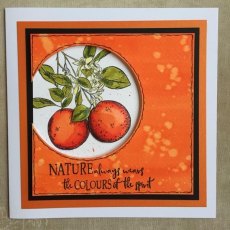 Sheena Douglass A Little Bit Sketchy A6 Unmounted Rubber Stamp - Orange Tree