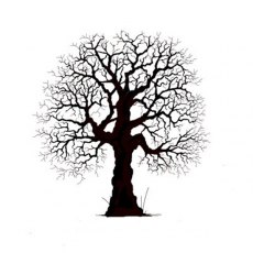 Lavinia Stamps - Oak Tree LAV186