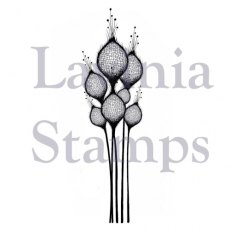 Lavinia Stamps - Fairy Thistles LAV378