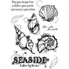 Woodware Clear Stamps - Seashells