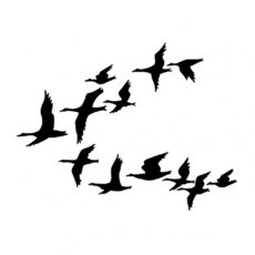 Lavinia Stamps - Ducks LAV247