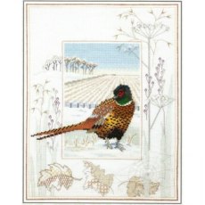 Derwentwater Wildlife Pheasant Cross Stitch Kit