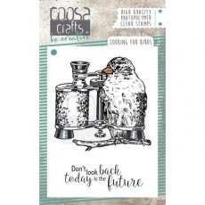 COOSA Crafts Clear Stamps A7 - Looking for Birds