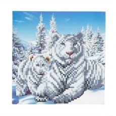 Crystal Card Kit - Snowy White Tigers CCK-A8