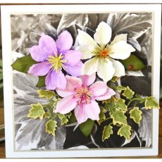 Elizabeth Craft Designs - Garden Notes - Clematis Die 1586