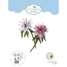 Elizabeth Craft Designs - Garden Notes - Astrantia Die 1584