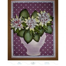 Elizabeth Craft Designs - Garden Notes - Astrantia Die 1584