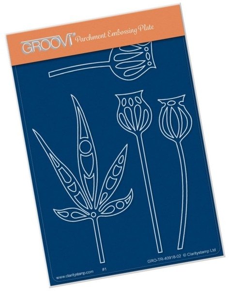 Clarity Clarity Stamp Ltd Funky Seed Heads & Leaves A6 Groovi Plate