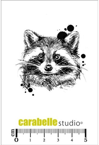 Carabelle Carabelle Studio Cling Stamp Small : Raton Laveur