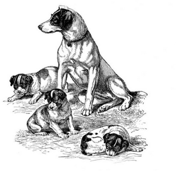 Peddlers Den Peddlers Den Stamp â€“ Dog with Puppies T4-109E
