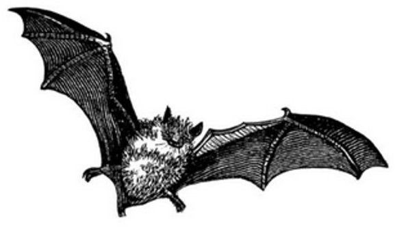 Peddlers Den Peddlers Den Stamp â€“ Bat in Flight T4-106A