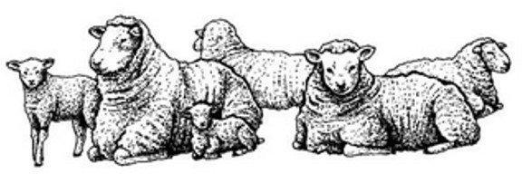 Peddlers Den Peddlers Den Stamp â€“ Flock of Sheep P17-364D